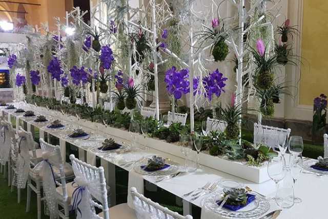 Colori, profumi e delicatezza, &egrave; il mondo dei fioristi: �Siamo gli artisti dei petali�